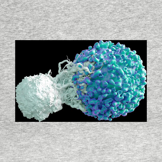 T cell attacking cancer cell (C024/7502) by SciencePhoto